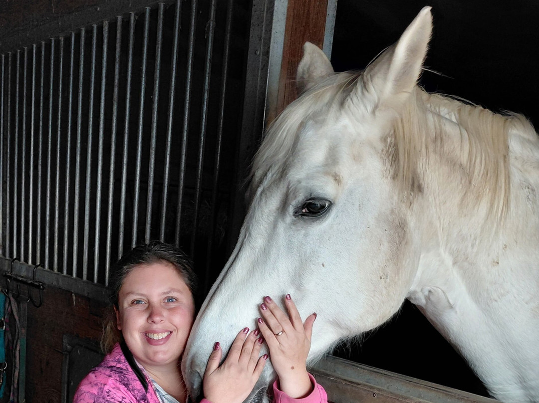 Healing Touch of Galena-加利纳必去景点