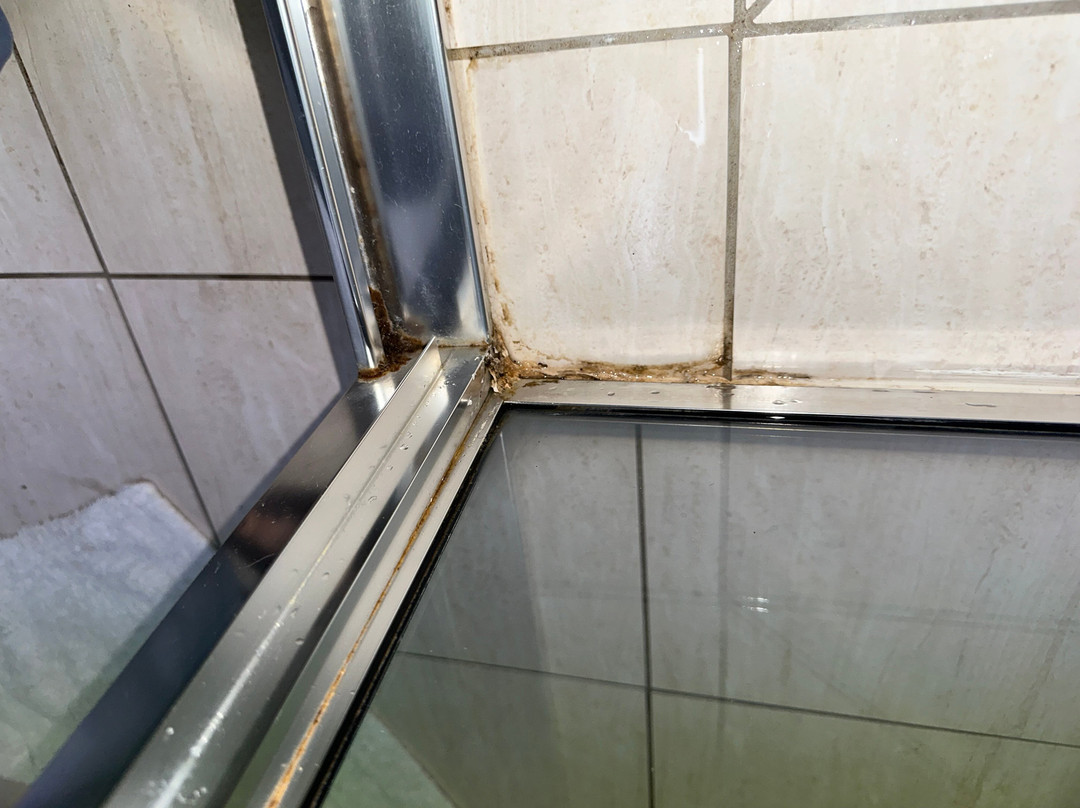 珊瑚别墅汽车旅馆主图