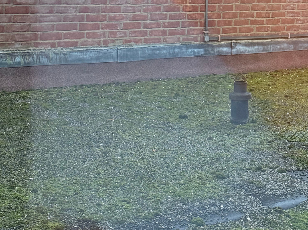 Hanbury Manor Marriott Hotel & Country Club主图