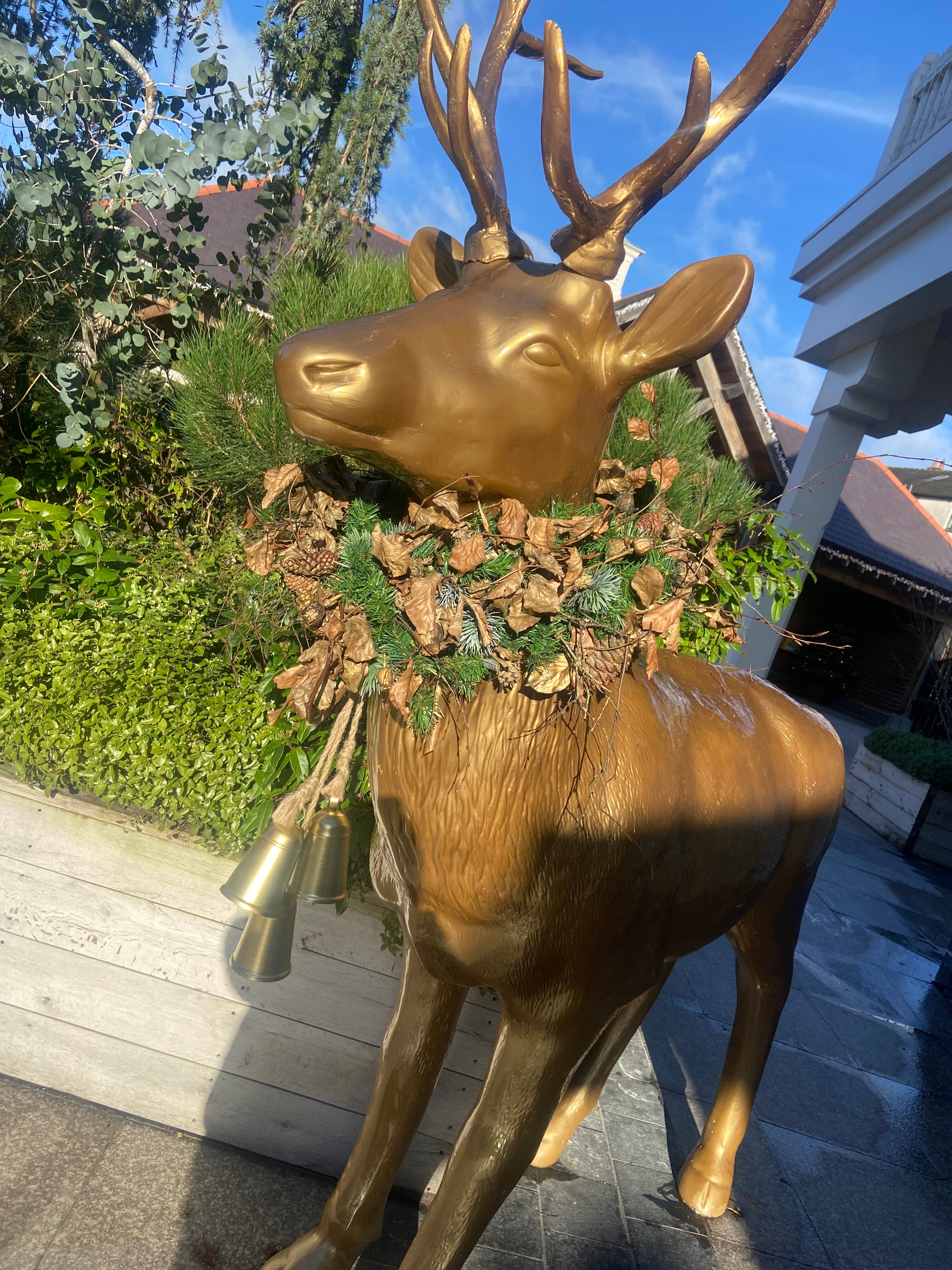 爱德华德勋爵酒店-官方