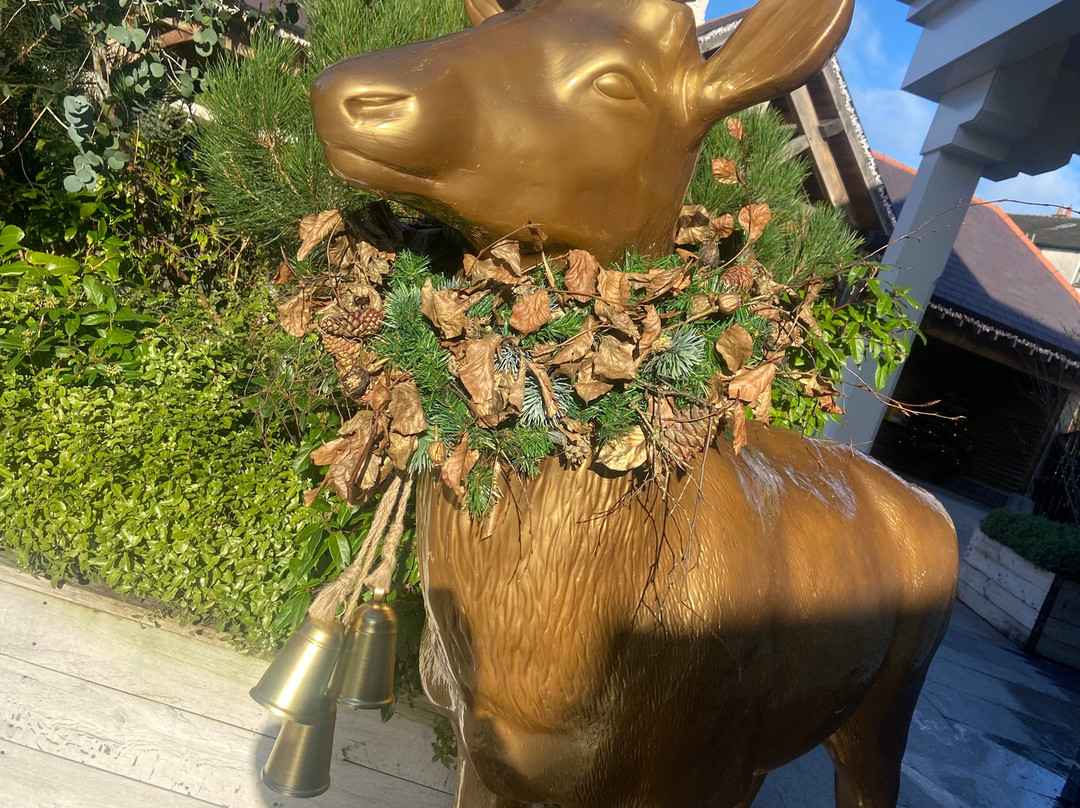 爱德华德勋爵酒店主图