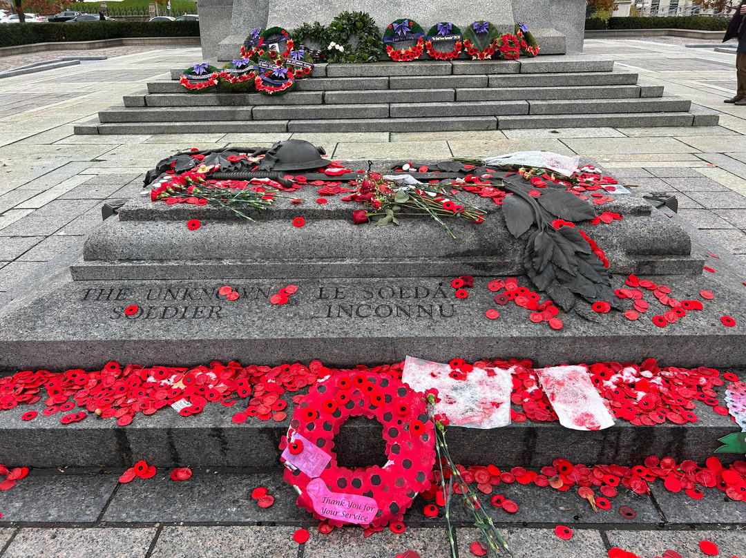 Tomb of the Unknown Soldier-渥太华必去景点