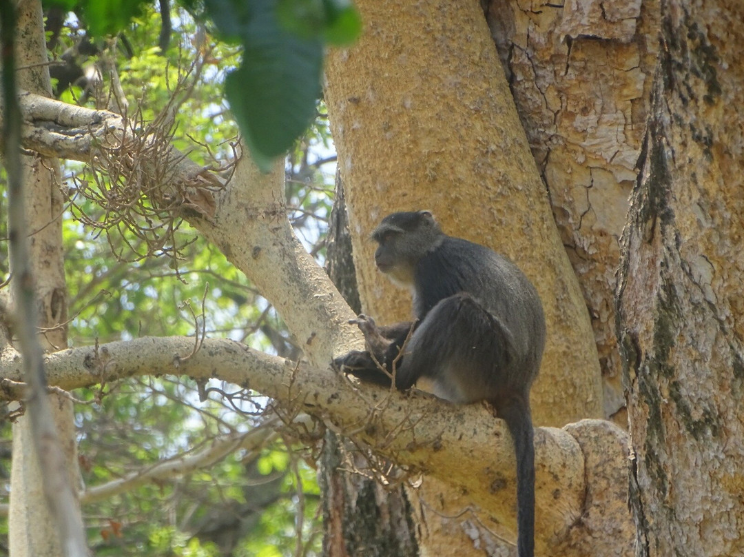 Katambuga Expedition-阿鲁沙必去景点