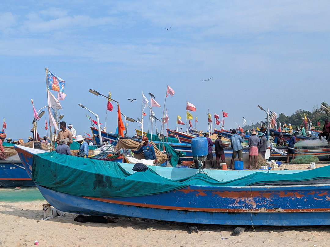 Rose Gardens Tours and Travels-慕那尔必去景点