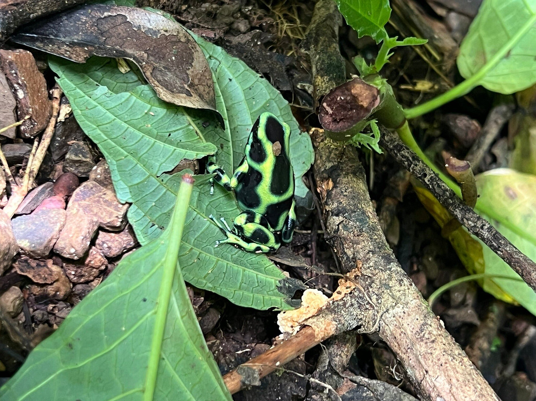 Santa Lucia Falls-乌维塔必去景点