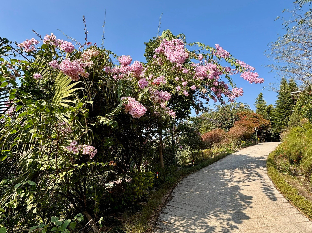 Tree of Life Resort, Dehradun Foothills主图