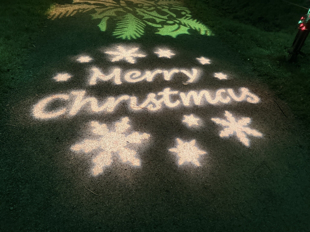 Bedgebury National Pinetum And Forest-Goudhurst必去景点