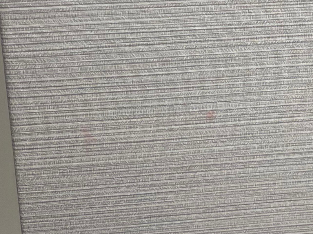 Courtyard Charlotte Waverly主图