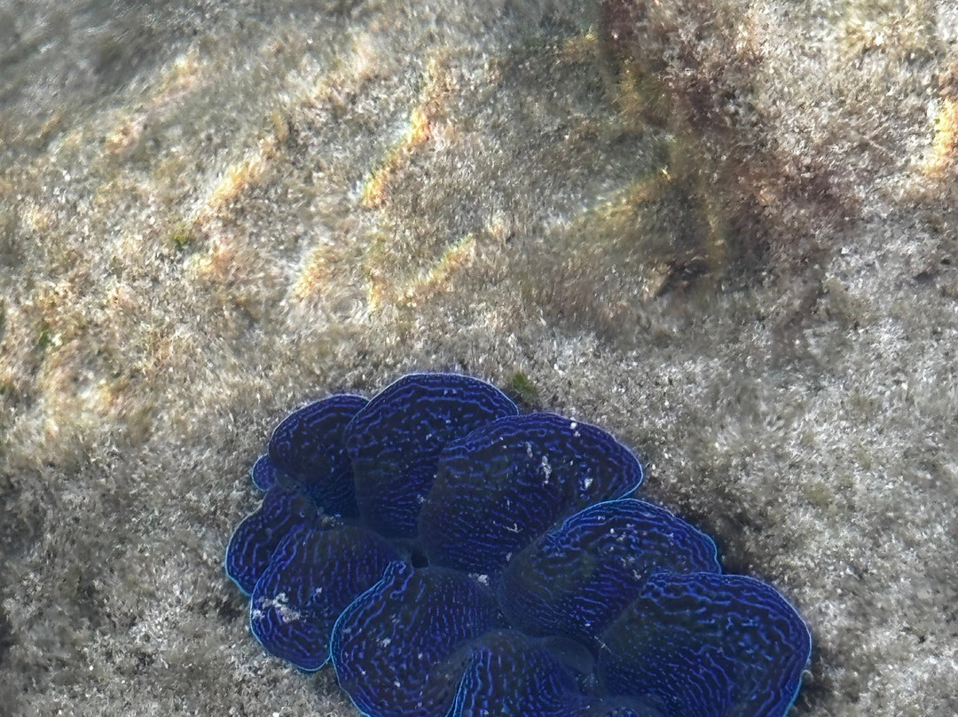 NomadicTribes | Andaman