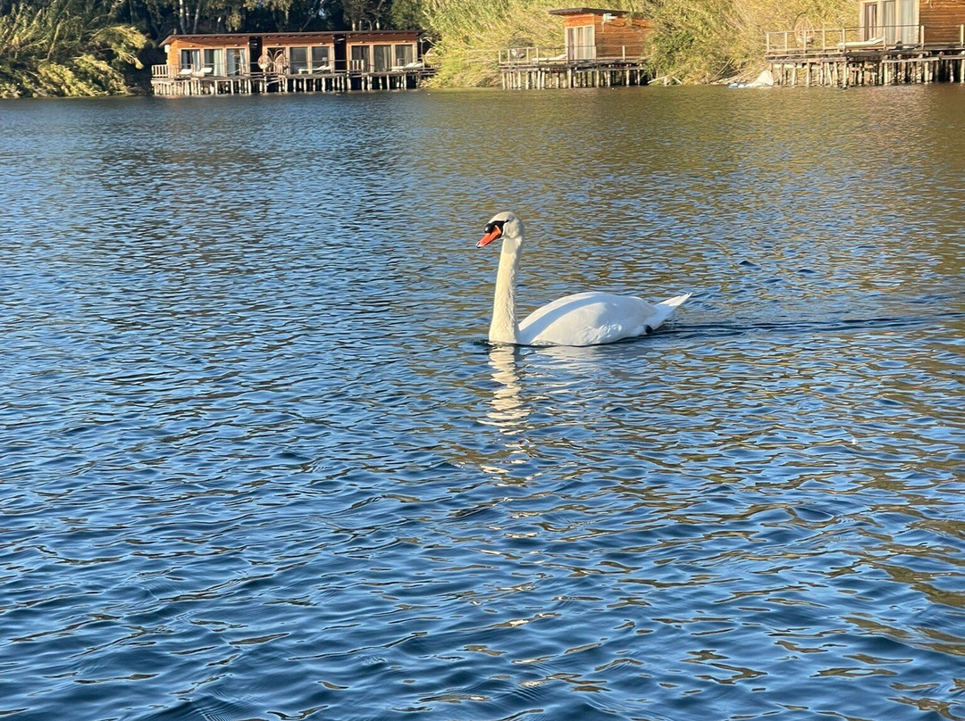 Laghi Nabi-Castel Volturno必去景点