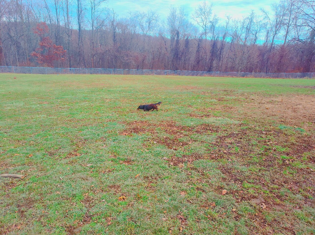 White Oak Regional Park-White Oak必去景点