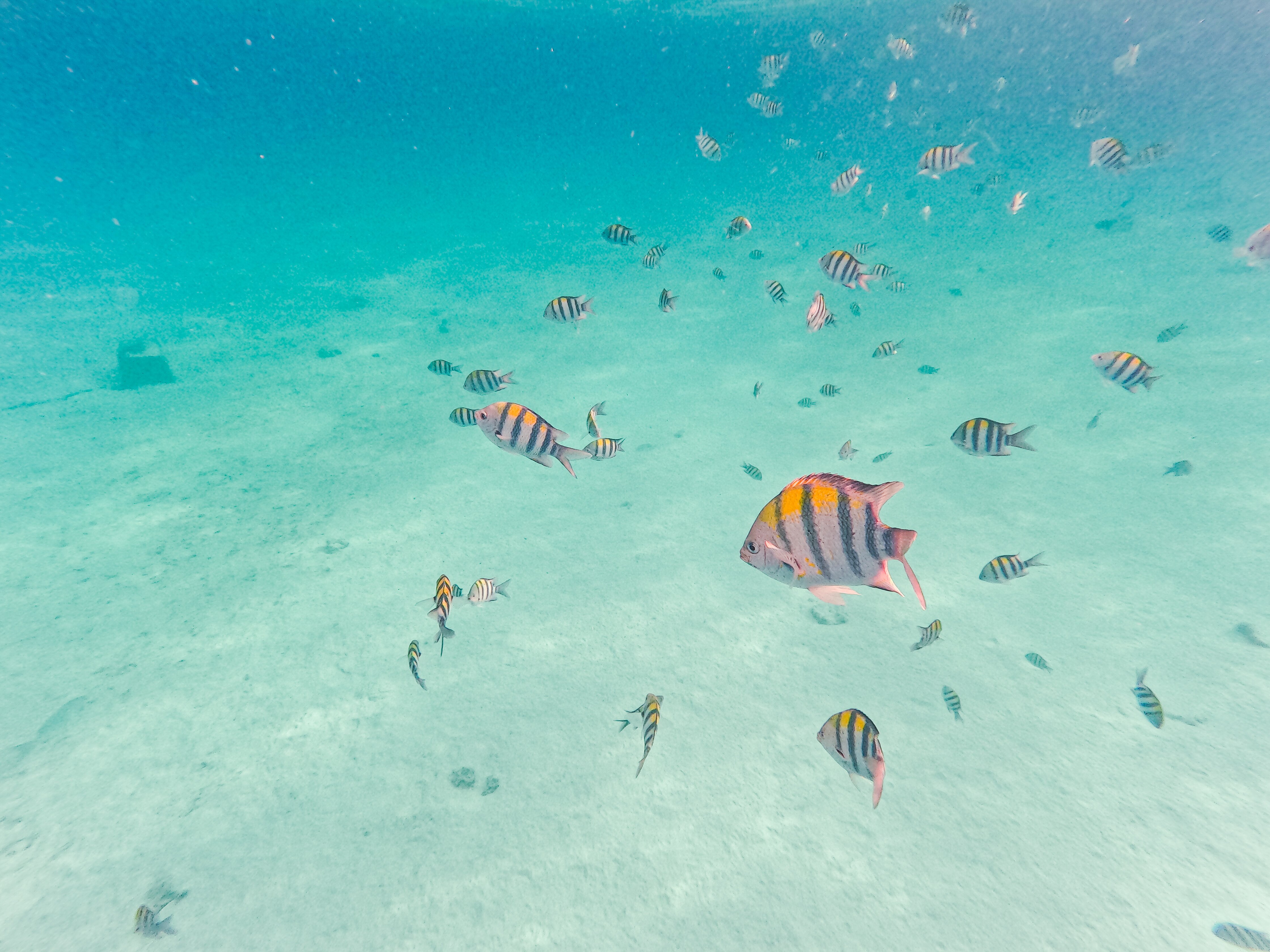 海洋天堂Spa度假酒店-官方