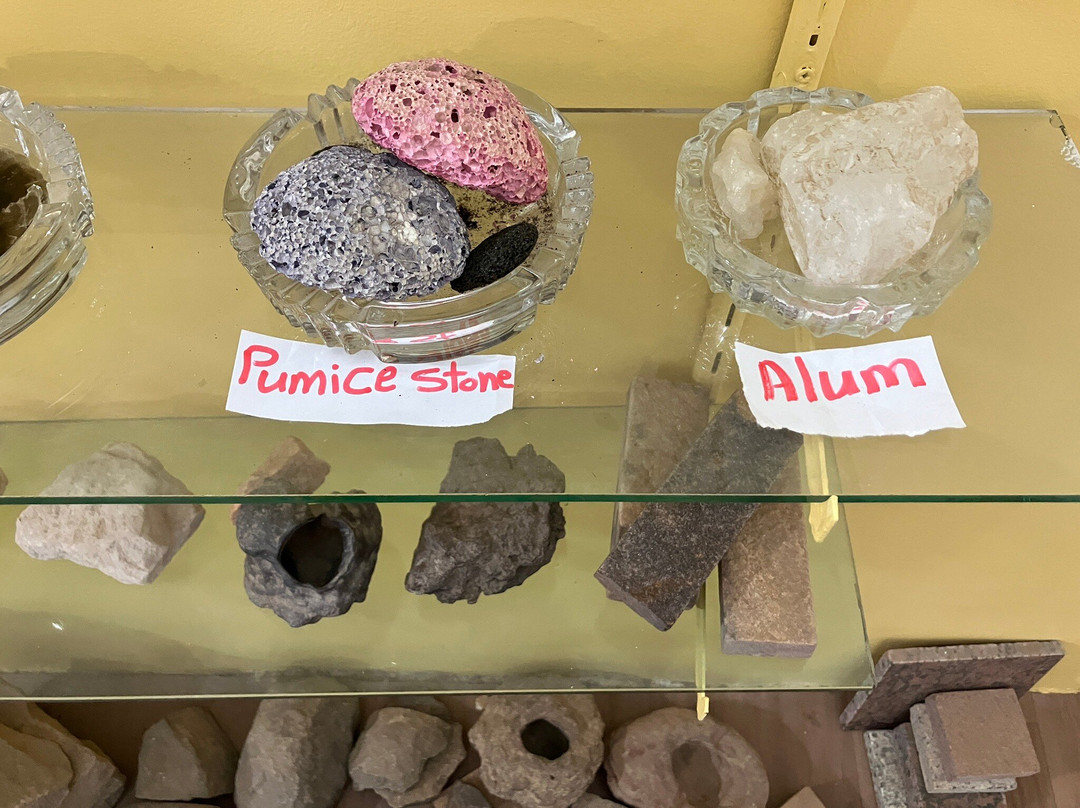 Animalia-亚斯文必去景点