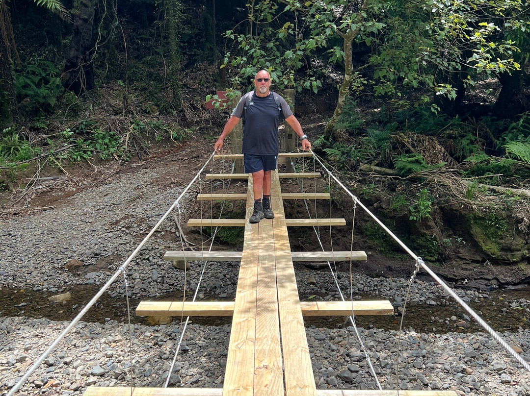 Real  Native  -  Walking Retreat-Te Awamutu必去景点