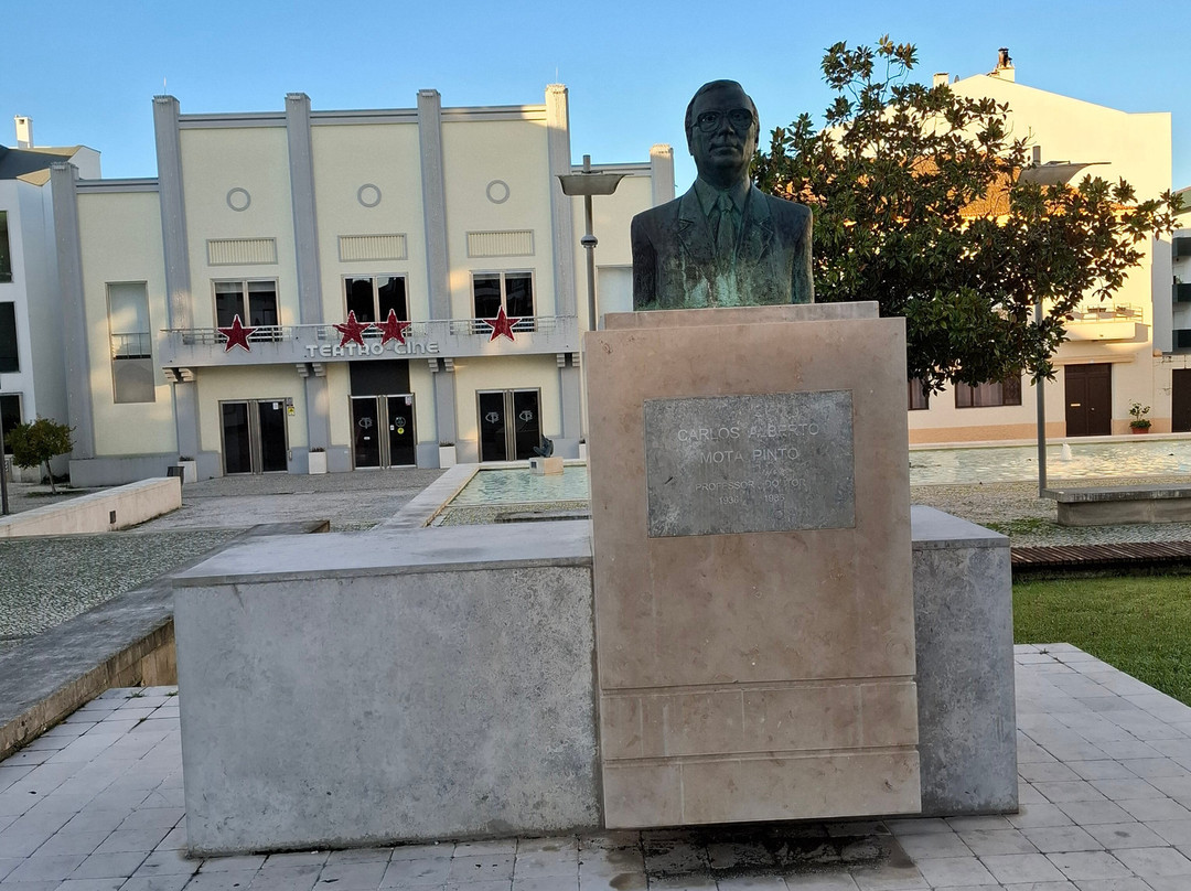 Estátua Carlos Alberto Mota Pinto-Pombal必去景点