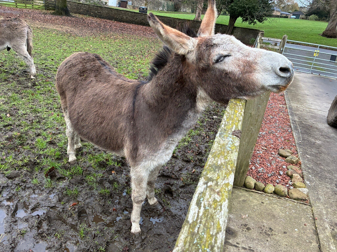 Holme Grange Farm主图