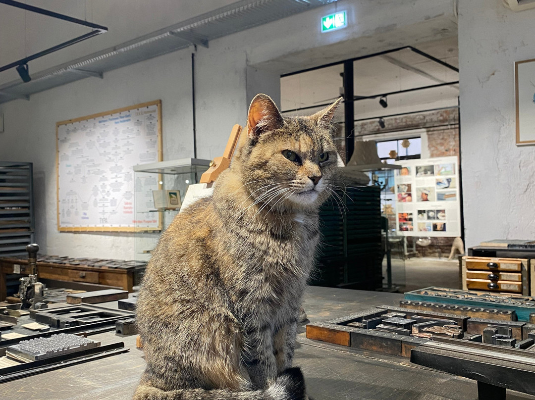 Typa-塔尔图必去景点