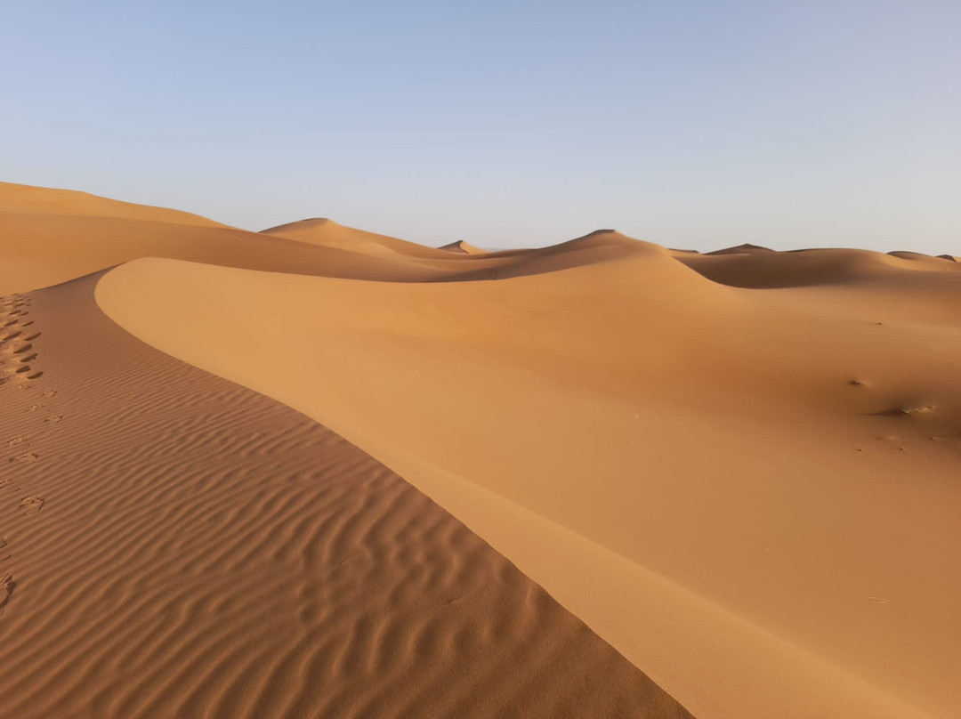 Cadence du Desert-迈哈米德必去景点