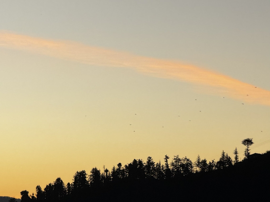 jüSTa Cliffend Resort & Spa, Mashobra主图