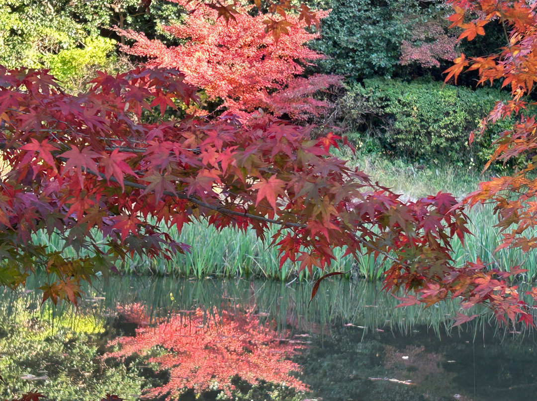 Chogaku-ji Temple-天理市必去景点