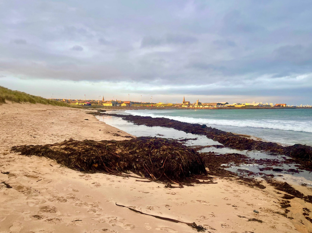 Fraserburgh Beach-Fraserburgh必去景点