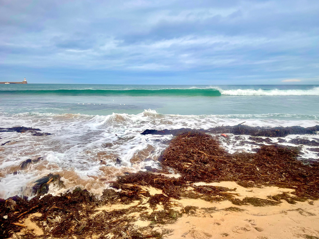Fraserburgh Beach-Fraserburgh必去景点