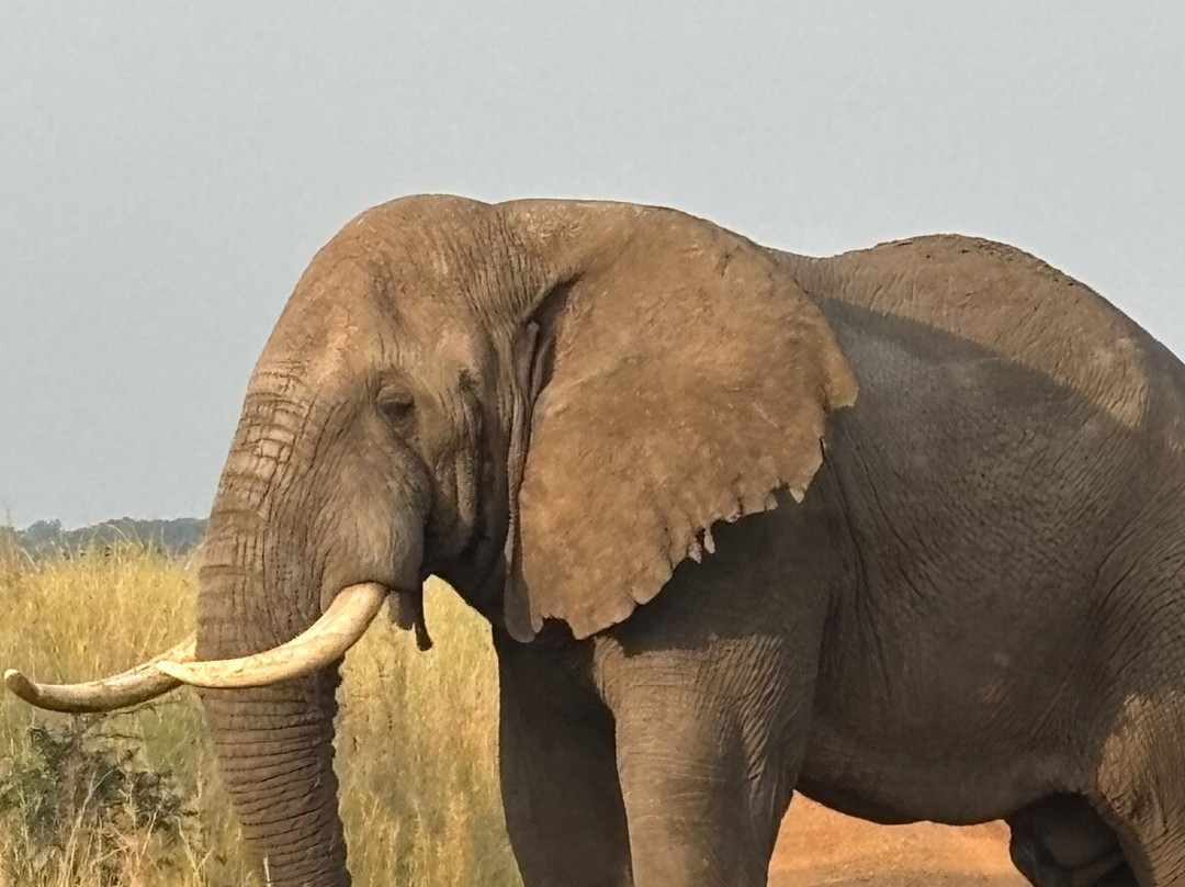 The Great Trekkers Safaris-恩德培必去景点