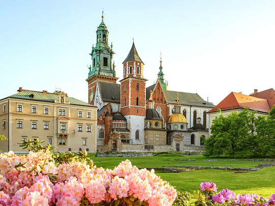 Dream Fly Tourism LLC