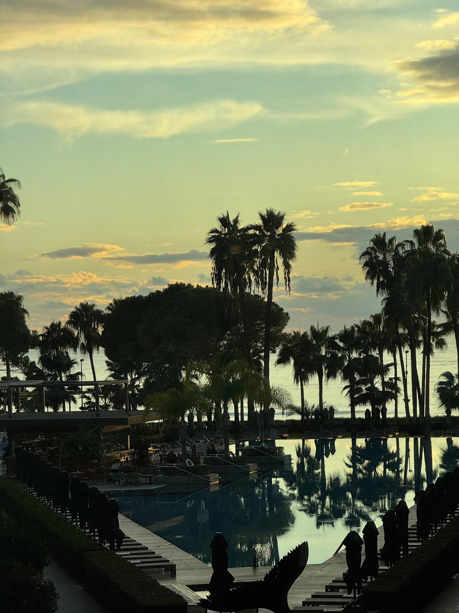 Acanthus Cennet Barut Collection-官方