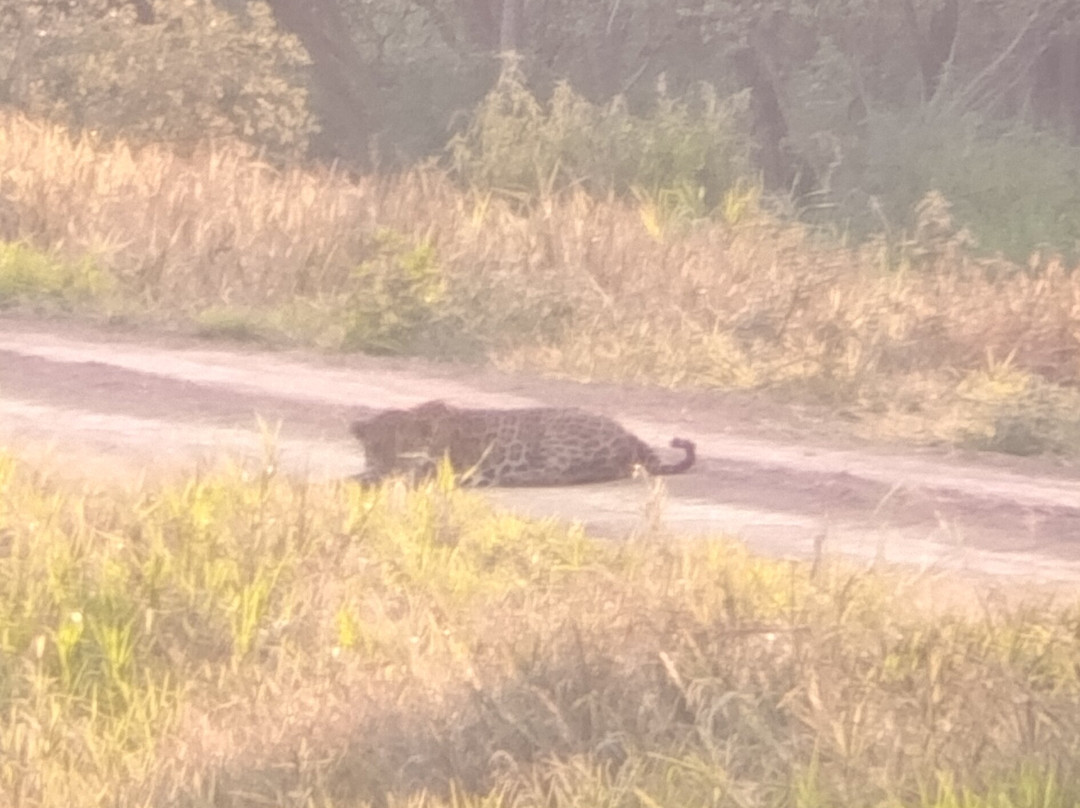 Nick's Adventures Bolivia-圣克鲁斯省必去景点