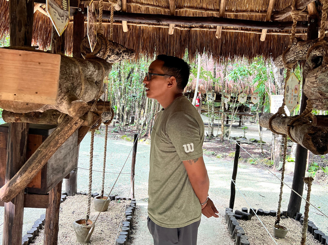 Mayan Bee Sanctuary-San Miguel de Cozumel必去景点