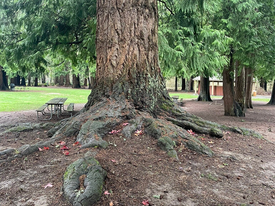 Blyth Park-博塞尔必去景点