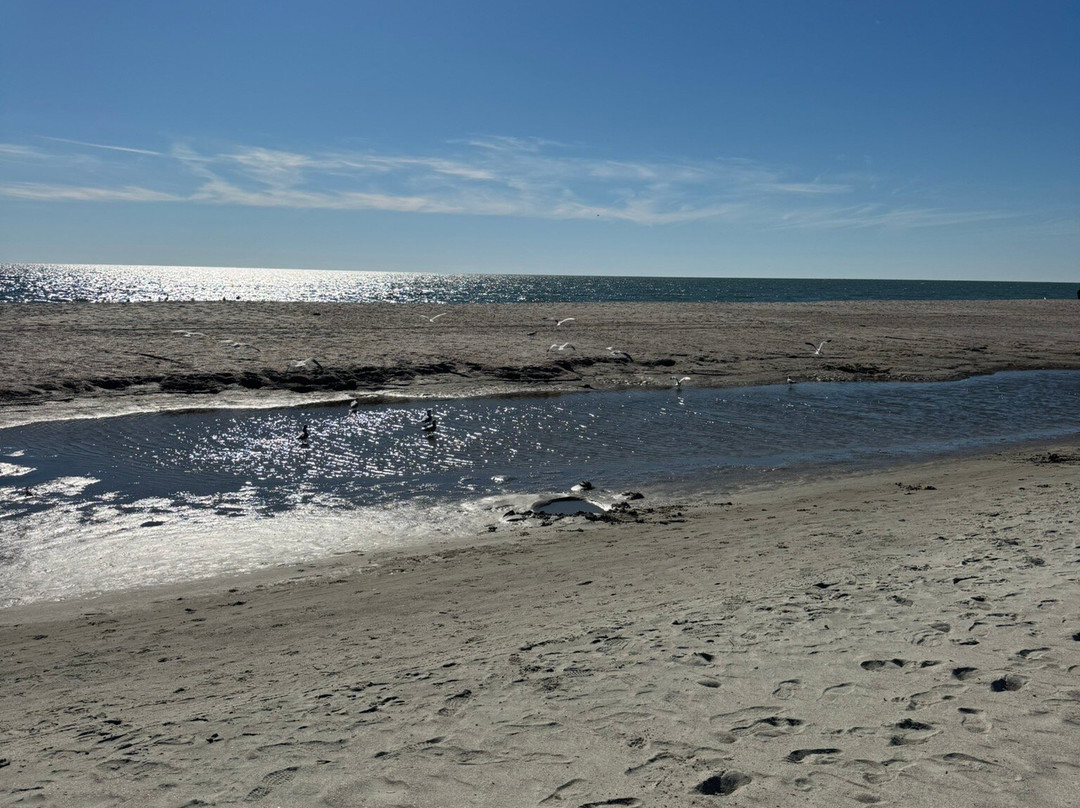 DoubleTree by Hilton Charleston Mount Pleasant主图