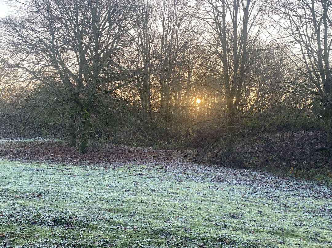 Travelodge Rugby Dunchurch主图