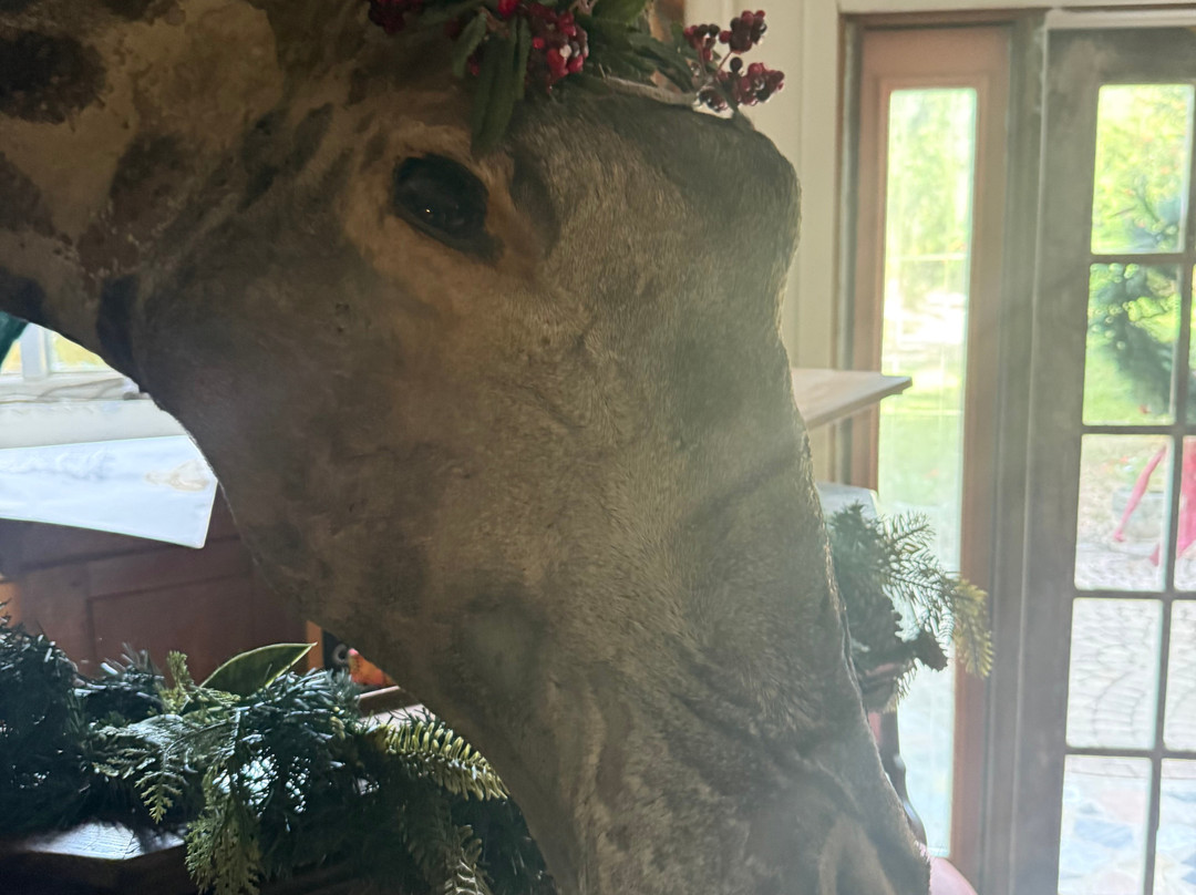 Wonder House-Bartow必去景点