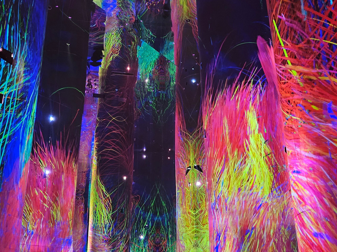 teamLab Phenomena Abu Dhabi-阿布扎比必去景点