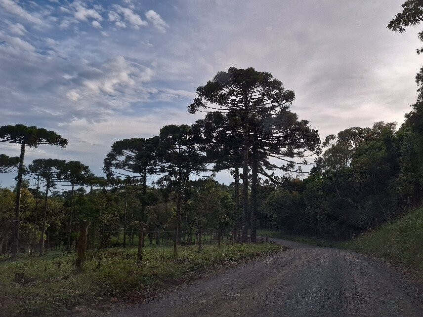 Salto do Engenho-Campo Alegre必去景点