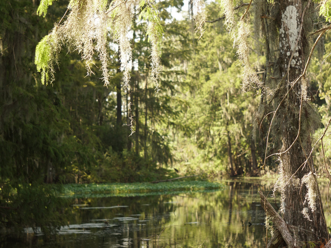 Tom and Jerry's Airboat Rides-Lake Panasoffkee必去景点