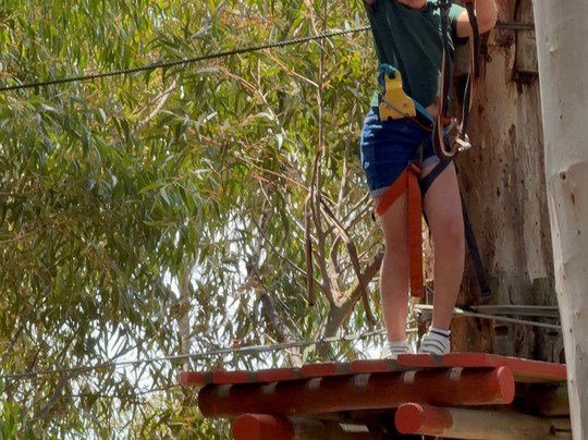 Acrobranch Stellenbosch-斯泰伦博斯必去景点