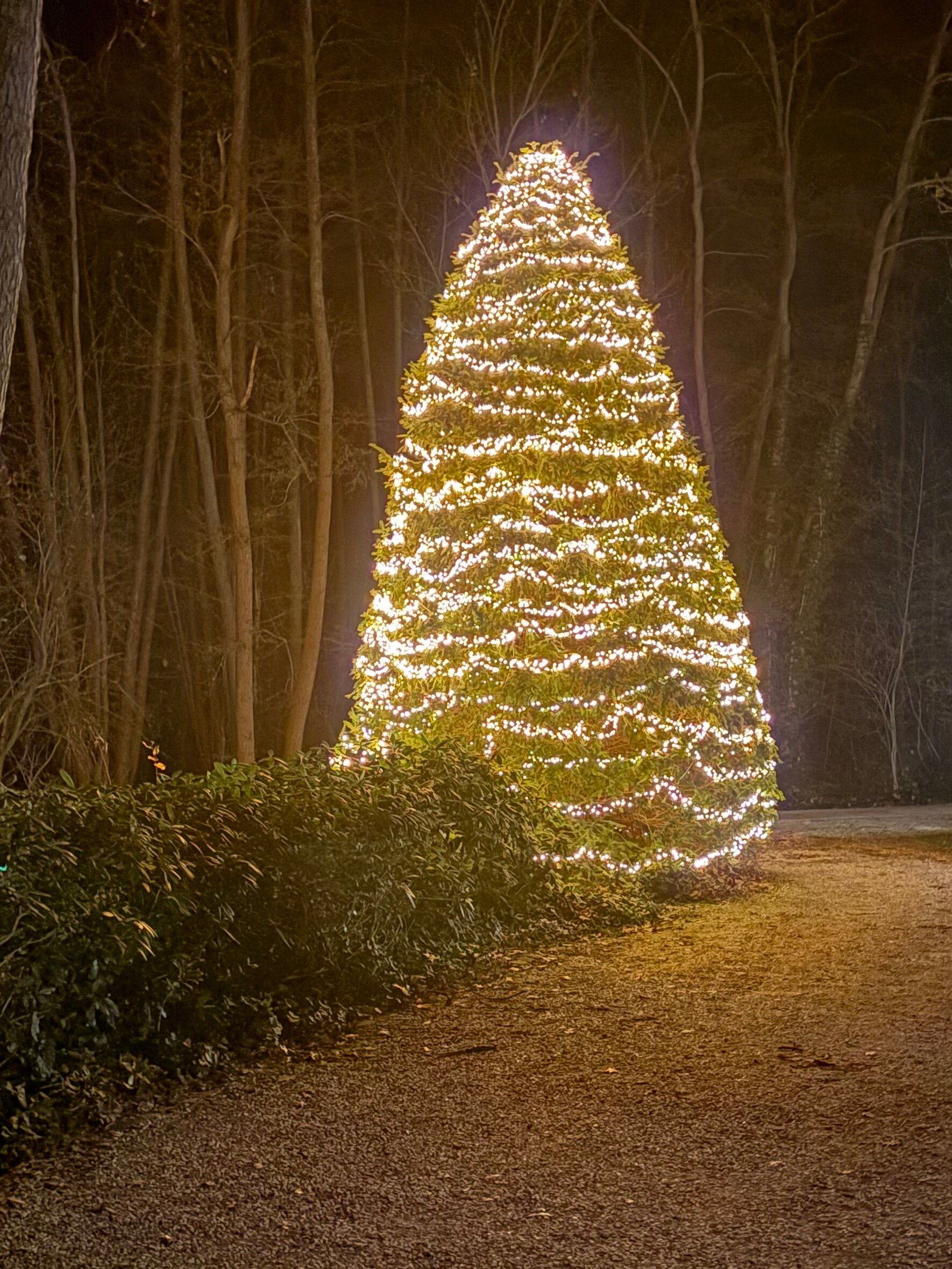 Landgoed De Holtweijde-官方