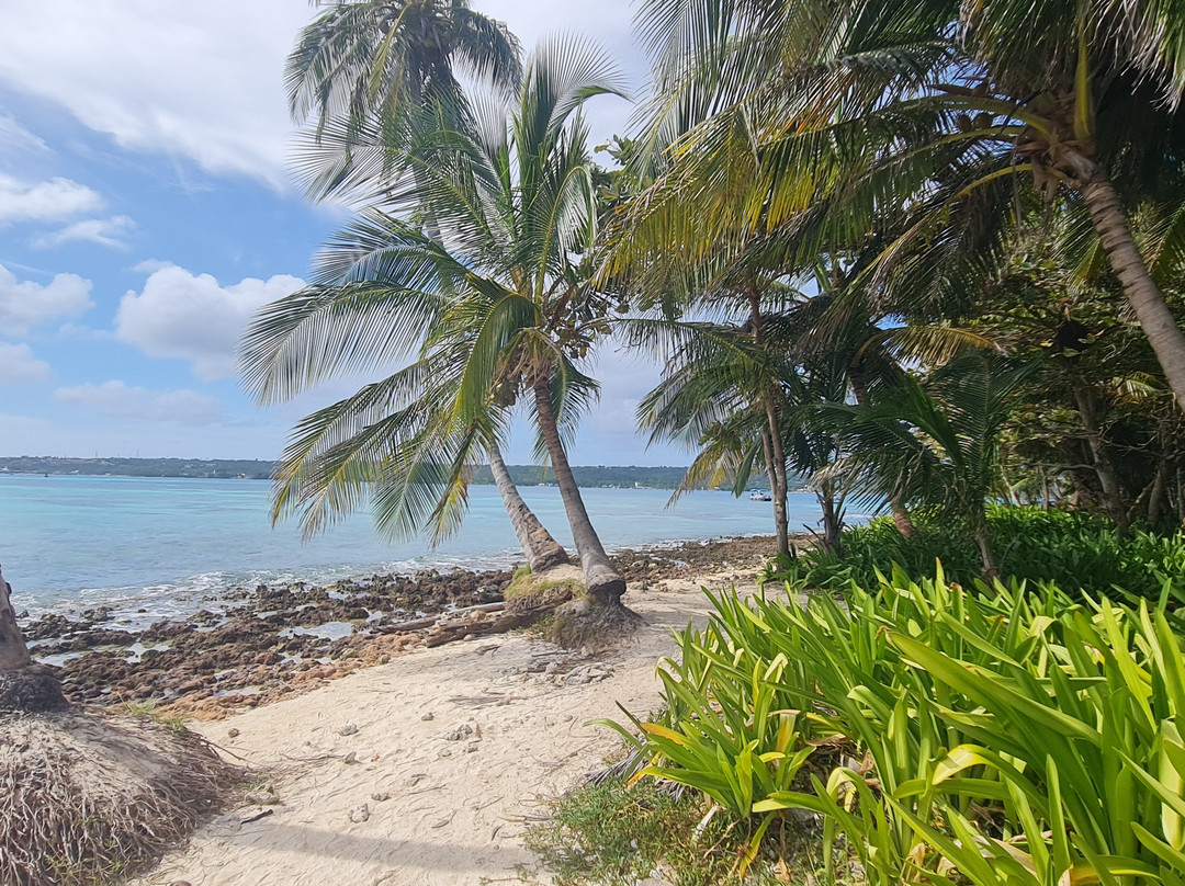 Cayo Acuario-圣安德烈斯岛必去景点