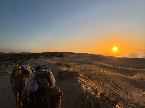 Palma Quad-索维拉必去景点