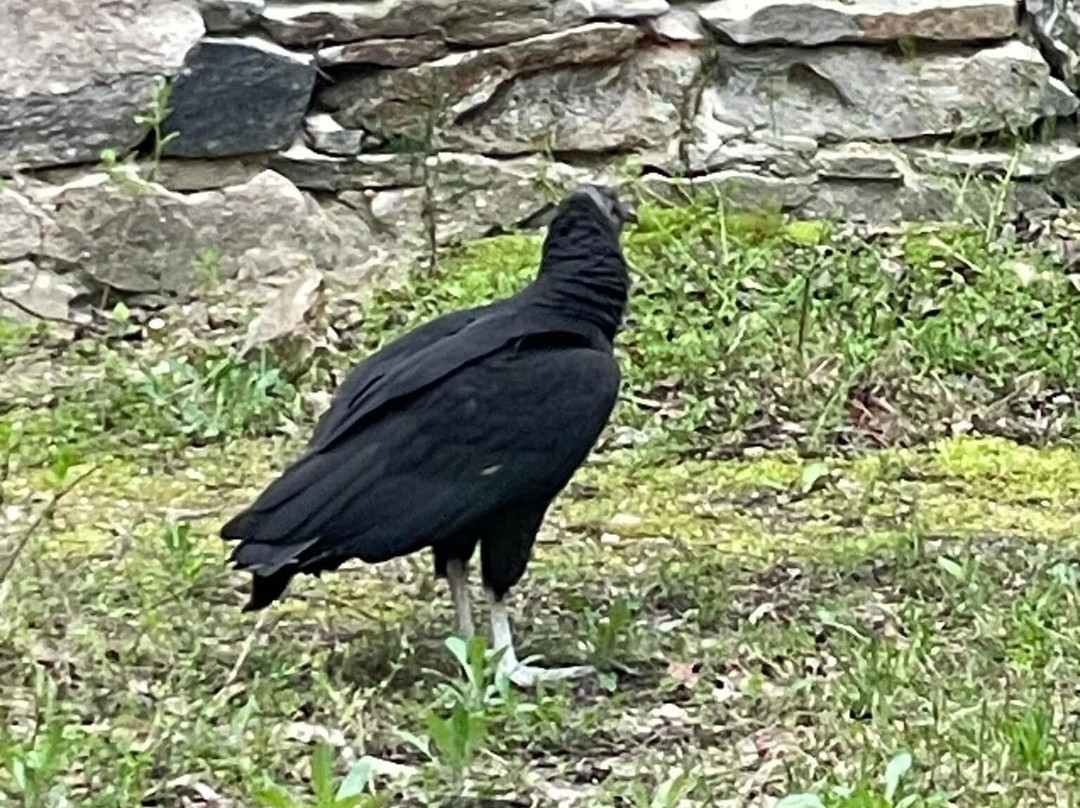 Maurice River Bluffs  Nature Preserve-Millville必去景点