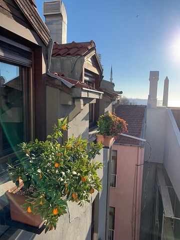 易卜拉欣帕夏酒店主图