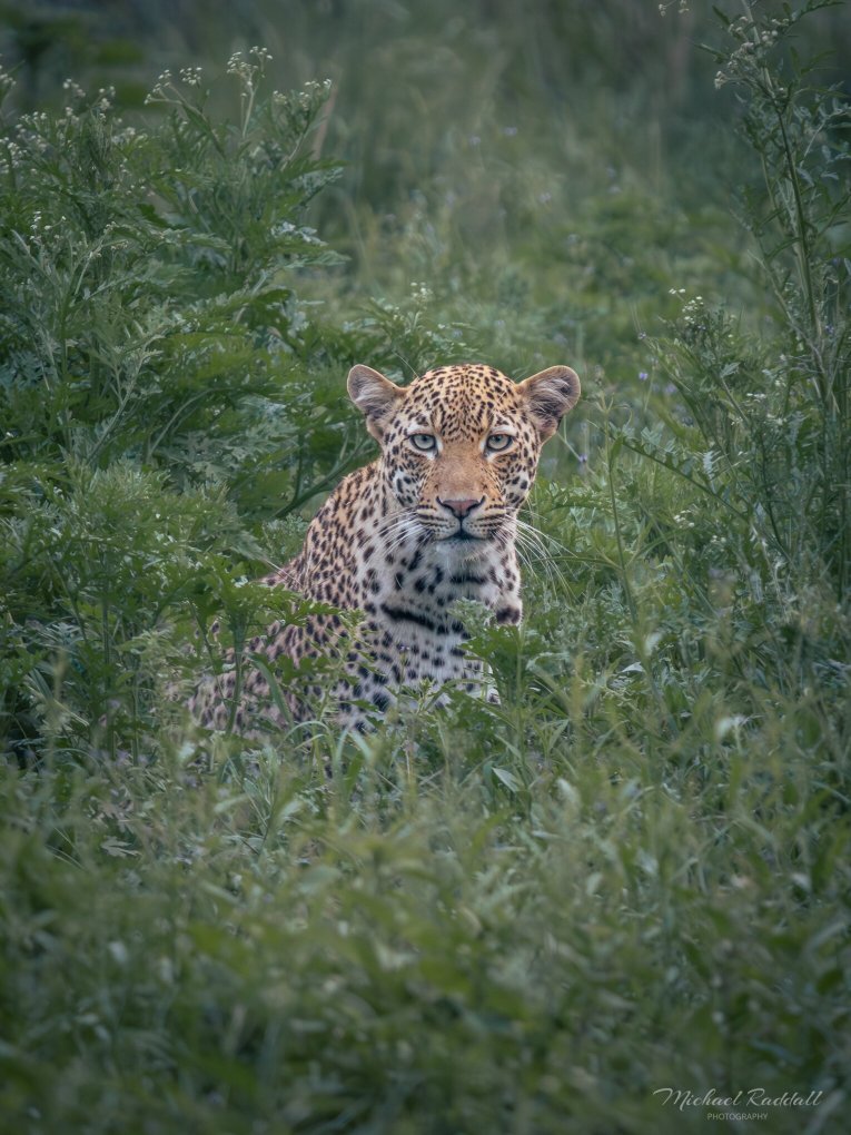 Kruger Shalati - The Train on the Bridge-浴室