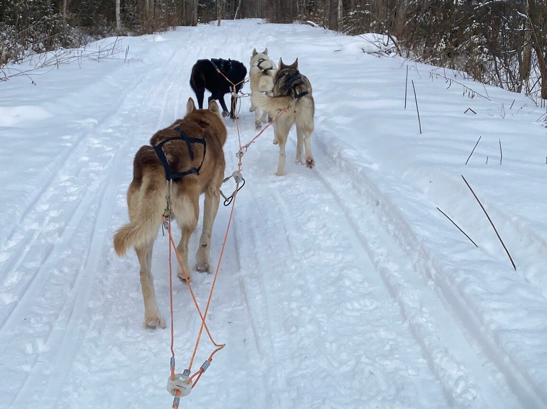 Passion Husky-李维斯必去景点