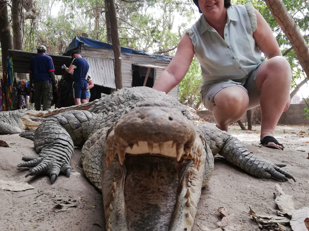 Gambia and Senegal tours with Ebrima-Tanji必去景点