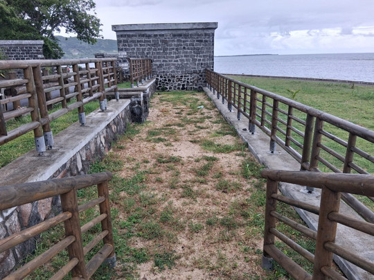 Pointe du diable-Vieux Grand Port必去景点