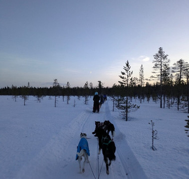 基律纳风情一日游-基律纳必去景点