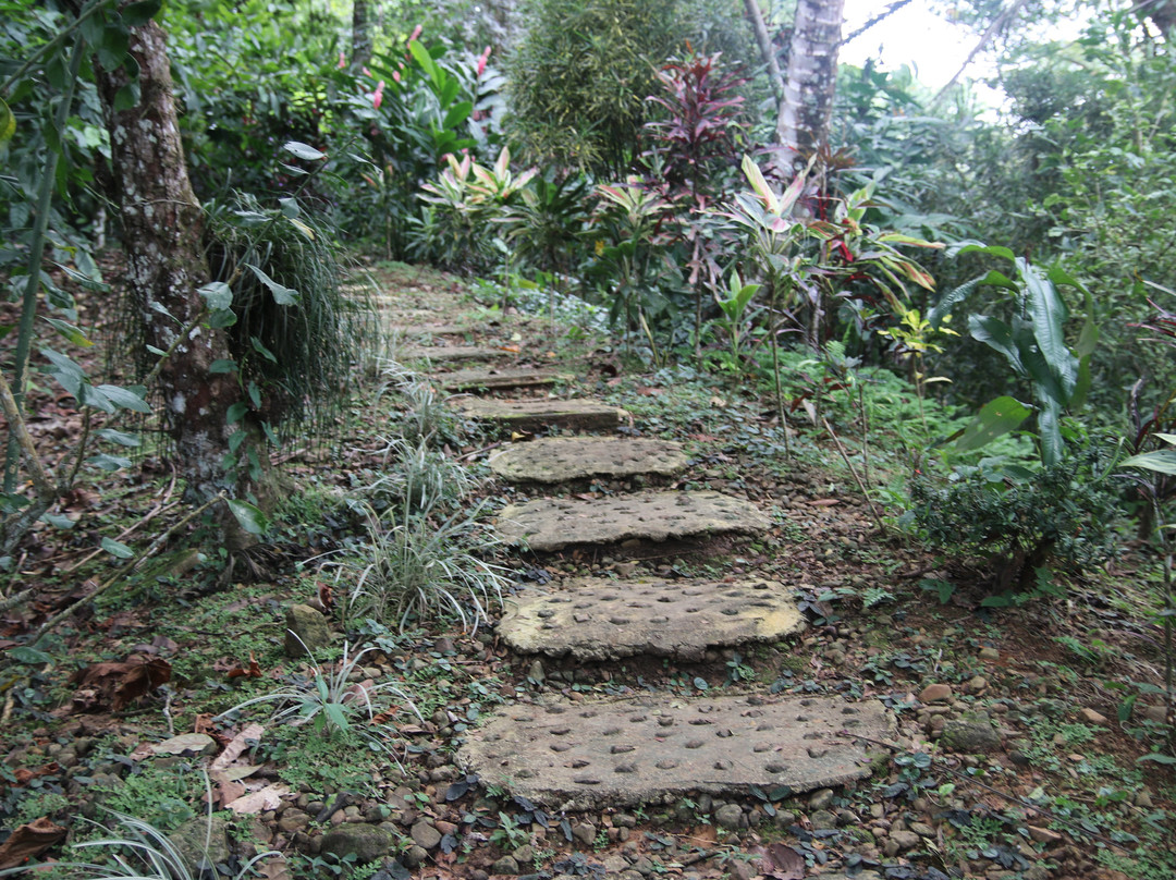 Green Acres Chocolate Farm and Nature Preserve-Cerro Brujo必去景点